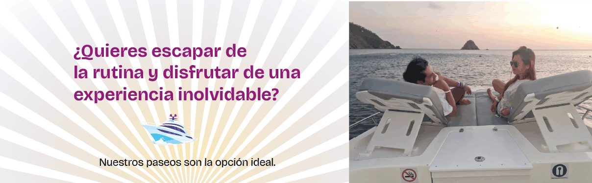 servicio chiva rumbera